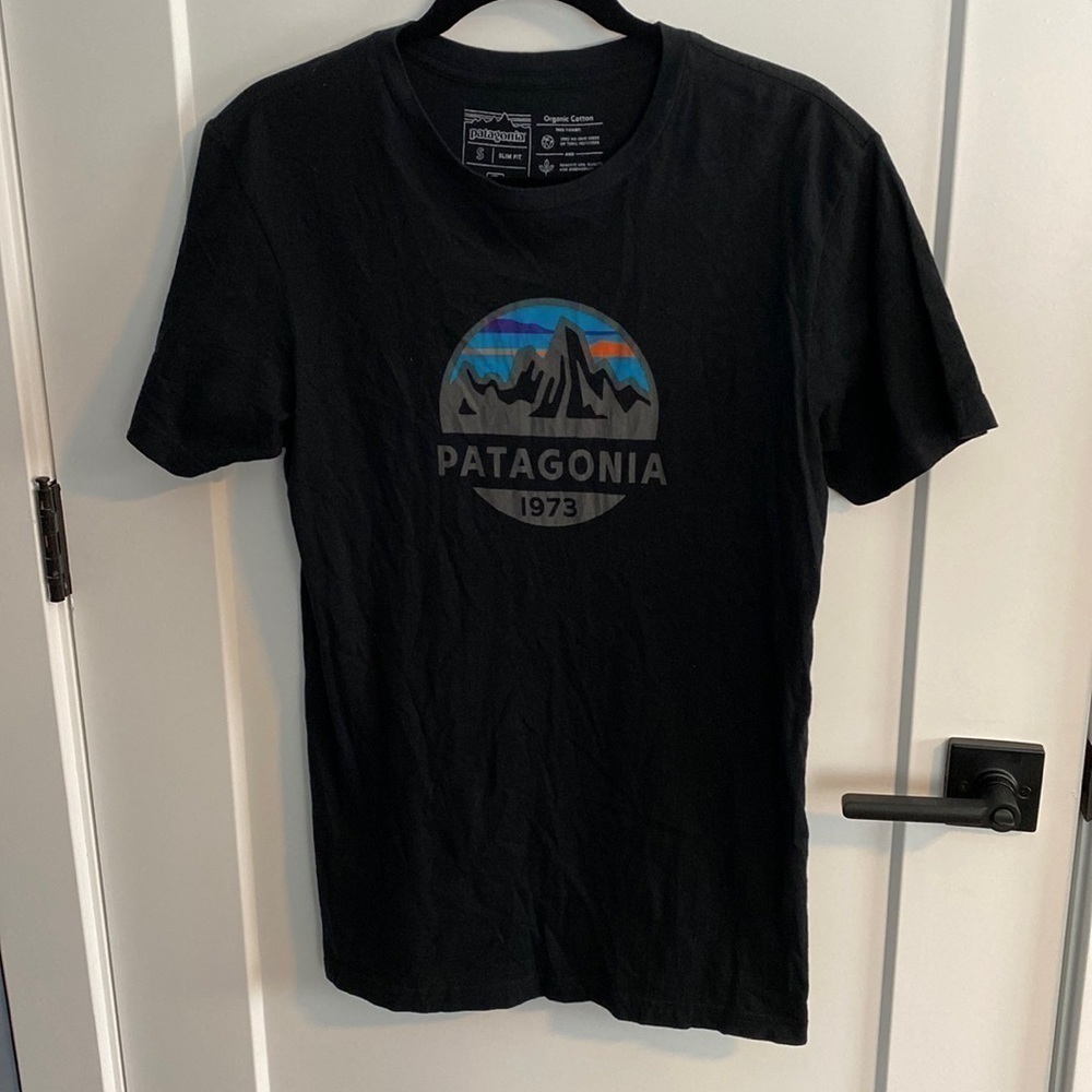 Patagonia Slim Fit Organic Cotton Tee EUC